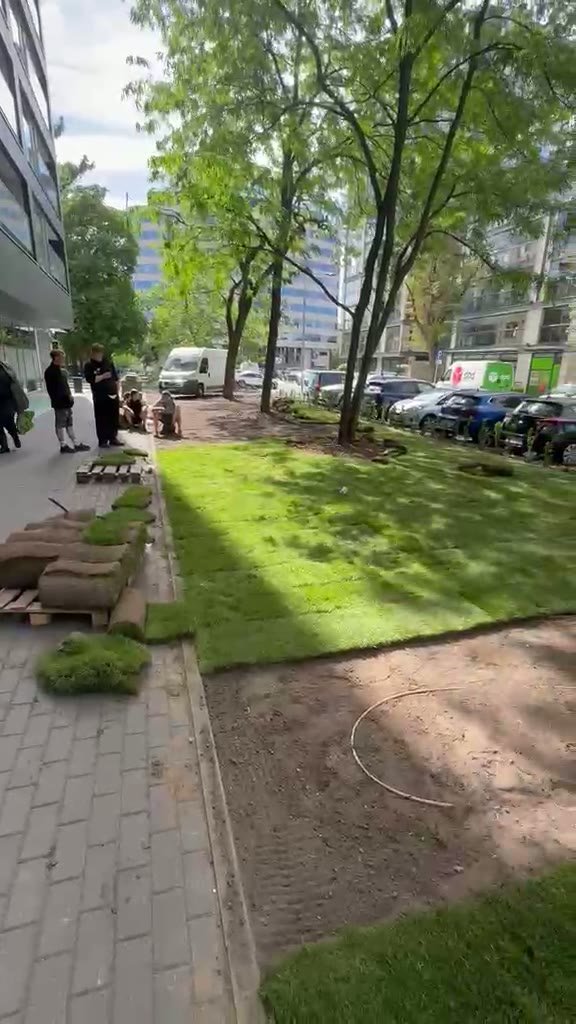 Zakładanie trawnika z rolki